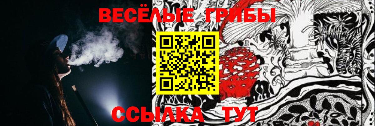 Галлюциногенные грибы мухоморы Сердобск